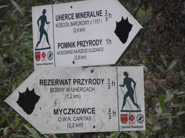 "z polecenia bobra" - z jego logo - strzałki umieszczono, dla pomocy "poszukujących - odkrywców" , także przed niefrasobliwymi spacerowiczami, którzy łażą po le