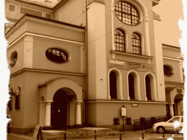 Synagoga - użytkowana była przez gminę żydowską w Lesznie do 1939 roku. Obecnie pełni funkcję galerii sztuki Muzeum Okręgowego w Lesznie, a w jednej z sal urząd