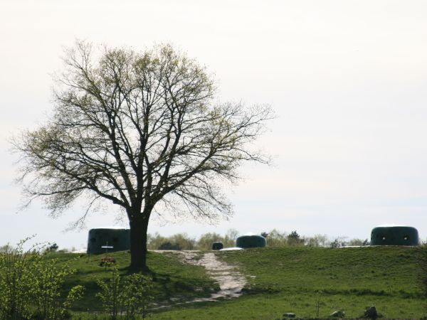 Międzyrzecki Rejon Umocniony, MRU – polska nazwa: Umocniony Łuk Odry i Warty (niem. Ostwall albo Festungsfront im Oder-Warthe Bogen (FFOWB lub OWB)) – system um