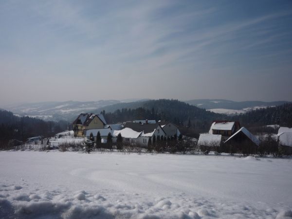 Końcówka.W głębi Glinik w Baczynie .