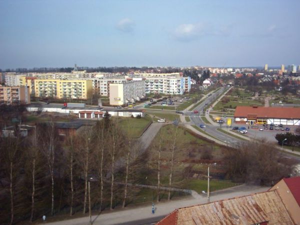Widok na ul. Małcużyńskiego i sklep NETTO.