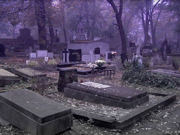 Kalisz -Evangelical Graveyard