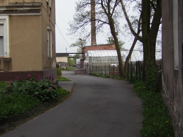 zdjecie Sulechów