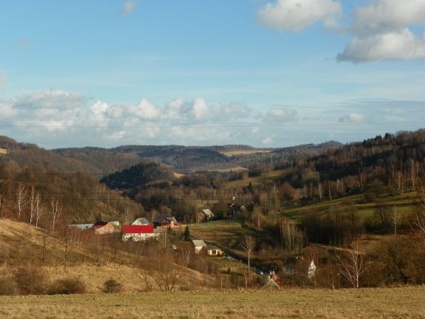 Panorama