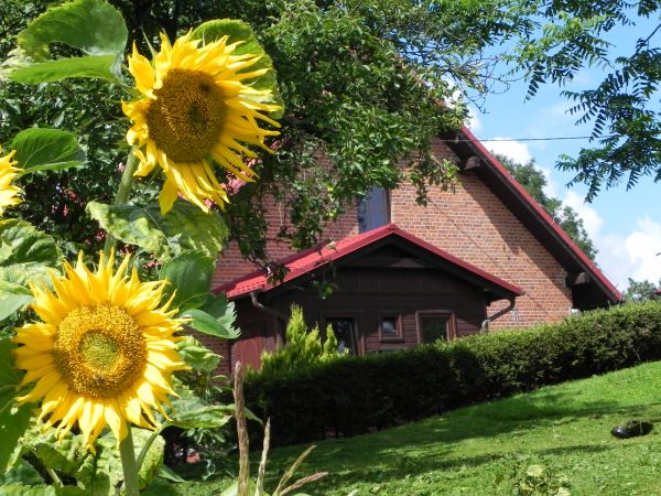 lesniczowka w Mechowie 2012