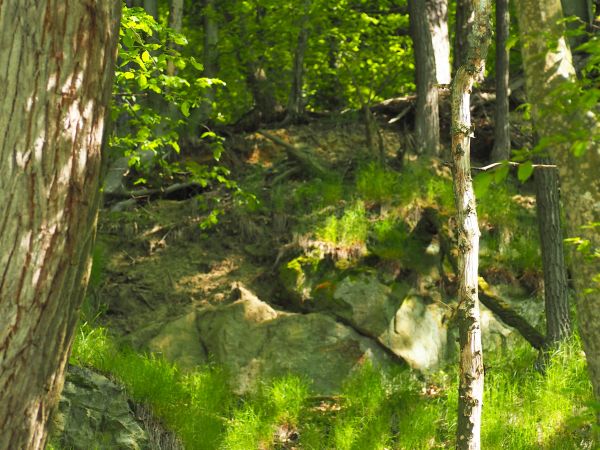 tuż przy drodze do Hroszówki - rumosz skalny, kamień zawsze był cennym budulcem, takich odkrywek - niegdyś eksploatowanych - w okolicy więcej. Przy temacie : po