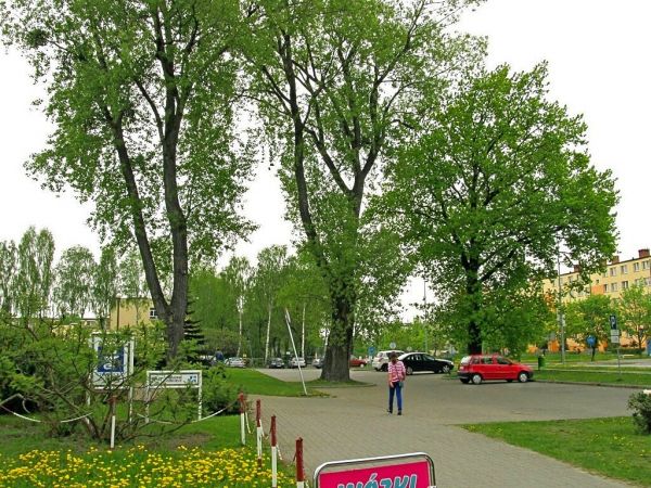 Plac przed OZ przy Kościerskiej