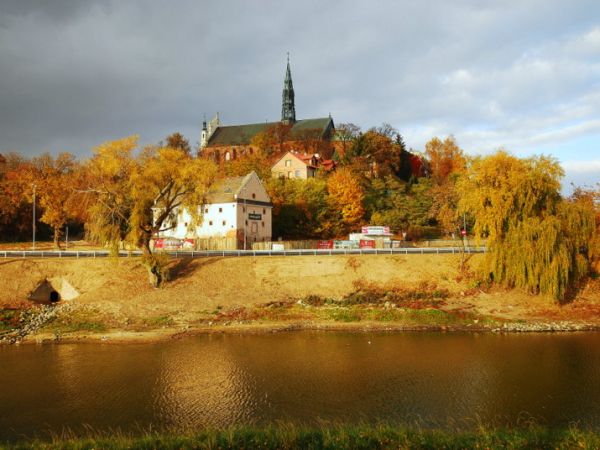 zdjecie Sandomierz