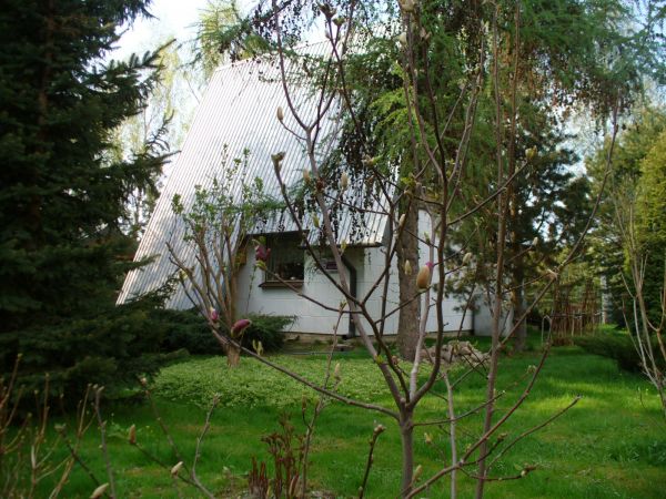 Polecam piękną miejscowość. Okolica spokojna, urokliwa, idealna do zamieszkania w ciszy spokoju i otoczeniu zieleni, ptaków i zwierząt.