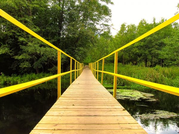 Kładka piesza przez rzekę Wdę