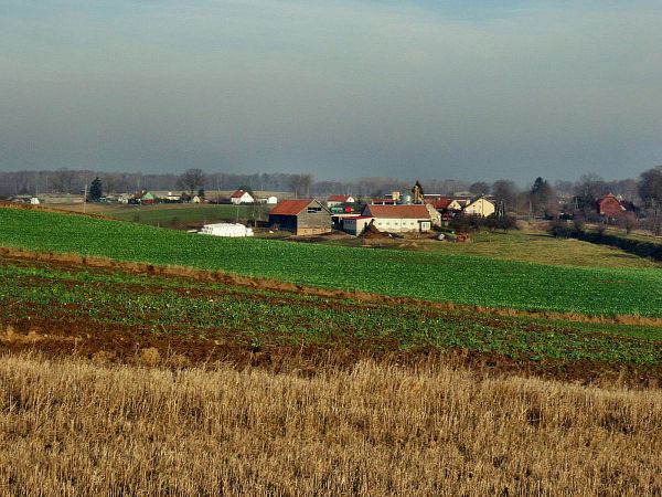 Pieckowo,zabudowania w północno zachodniej części Pieckowa. 2011-12-12