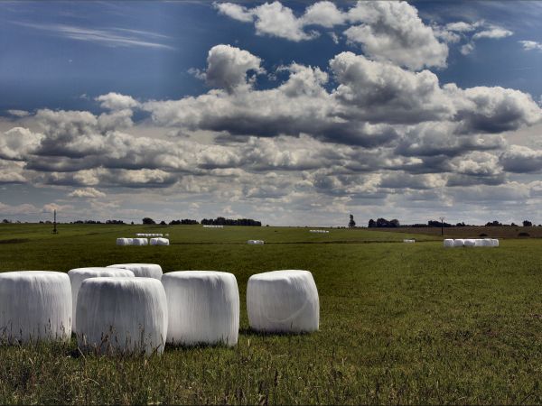 zdjecie Tyniewicze Duże