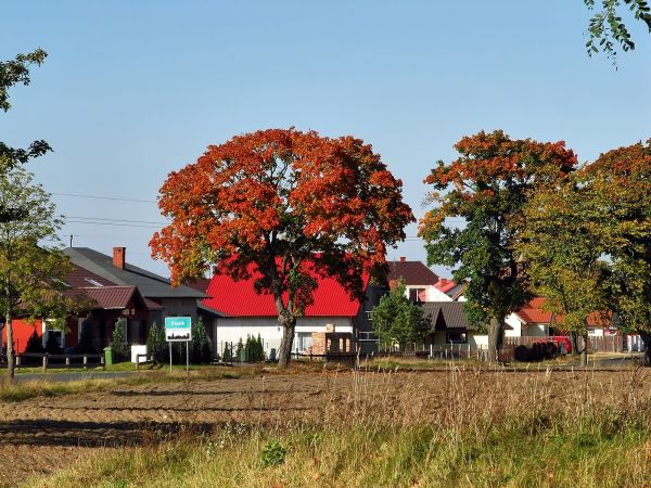 Taka jest piękna jesień