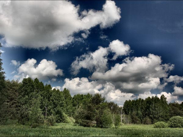 zdjecie Tyniewicze Duże