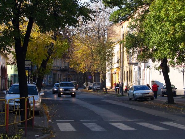 Ulica Modrzejowskiej