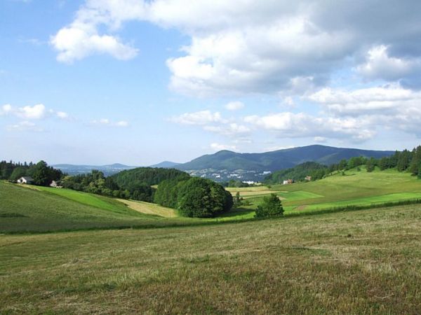 Widok na Zawodzie (Ustroń) z Cisownicy