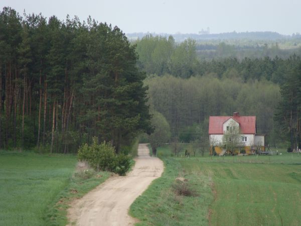 Najbliższa okolica (kościół w Różanymstoku na horyzoncie)