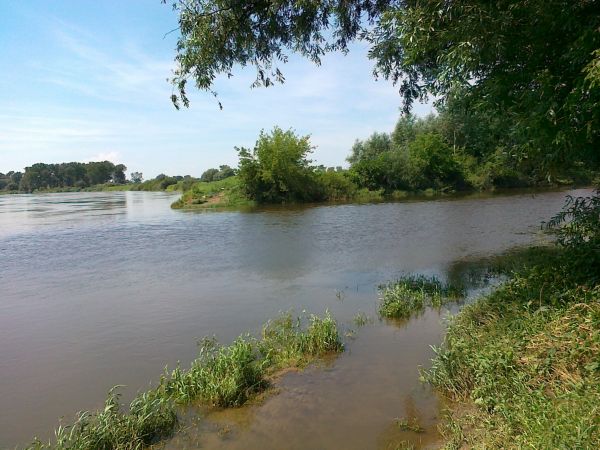 Niedaleko  Brzostkowa   w  Pawłowie- Raju    Nida  wpada  do  Wisły . Ciemne wody Nidy niechętnie i powoli mieszają się ze srebrzystymi   wodami Wisły . Na zdję