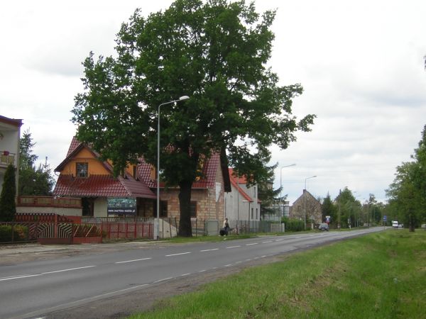 zdjecie Sulechów