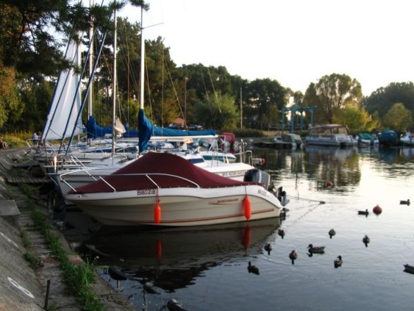 Kaczuszki chyba też zacumują