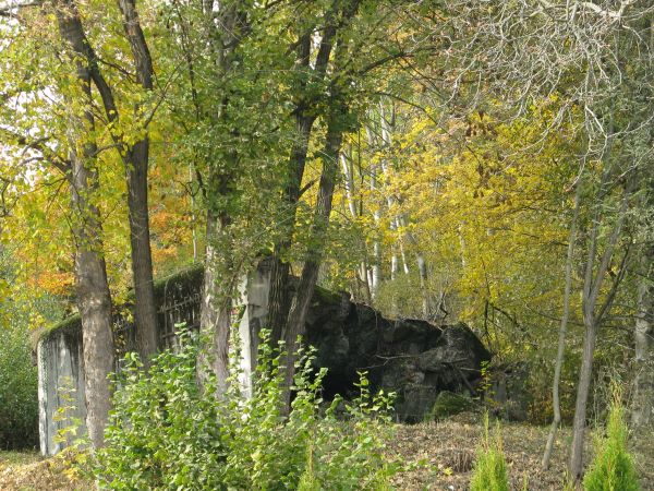 tak latem bywało: obiekt parę metrów obok drogi, ledwo widać, zapytać nie ma zazwyczaj kogo - to "temat do realizacji" trochę dla upartych itp. - na zdjęciu: po