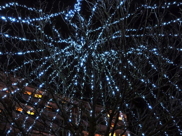 zdjecie Wodzisław Śląski