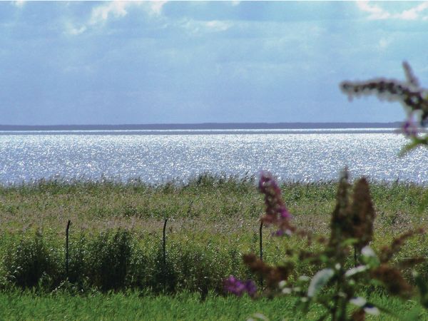 widok z naszego apartamentu