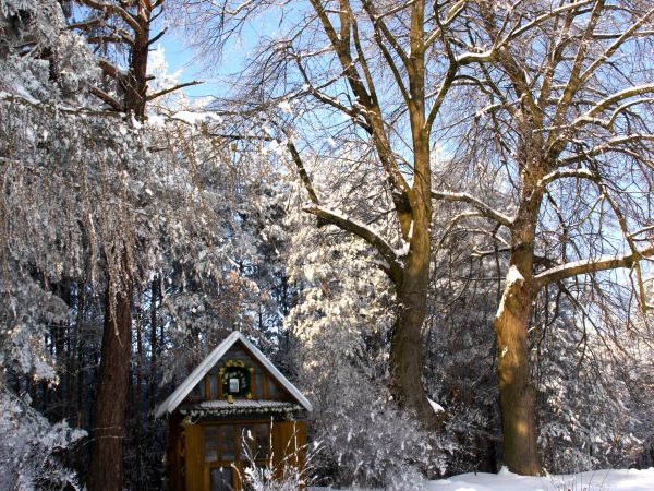 Zabytkowa kapliczka na granicy
Gniewczyna - Budy Łańcuckie