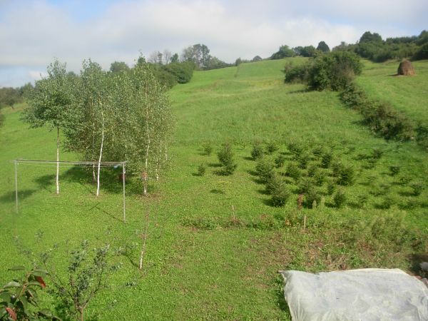 Niskowa-Zopusta. Wrzesien 2010 r.