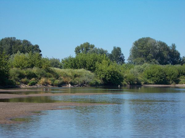 Przedziwna korelacja wody ,zieleni i słońca, najbardziej wierne plażom są ptaki .