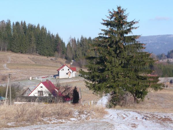 Lekko zimowy Mały Smereków - Bryjówka - grudzień 2009.