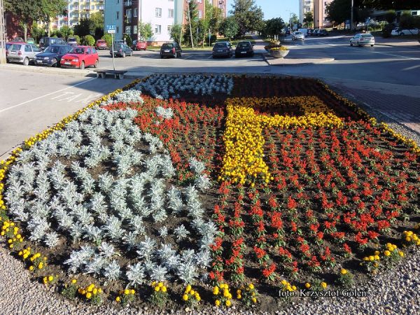 Poniatowa, kwietnik, herb miasta na placu Konstytucji 3 maja, z prawej ul. Nałęczowska - foto. Krzysztof Goleń