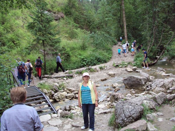 dnem Wąwozu Homole płynie rzeka Kamionka o korycie zawalonym skalnym rumowiskiem.