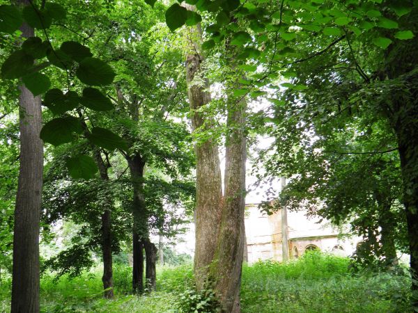 Stary park i dworek szlachecki. Nie zamieszkały i zaniedbany . Na szczęście władze Gminy zabezpieczyły budowlę nowymi dachami i rynnami oraz dobrym zabezpieczen
