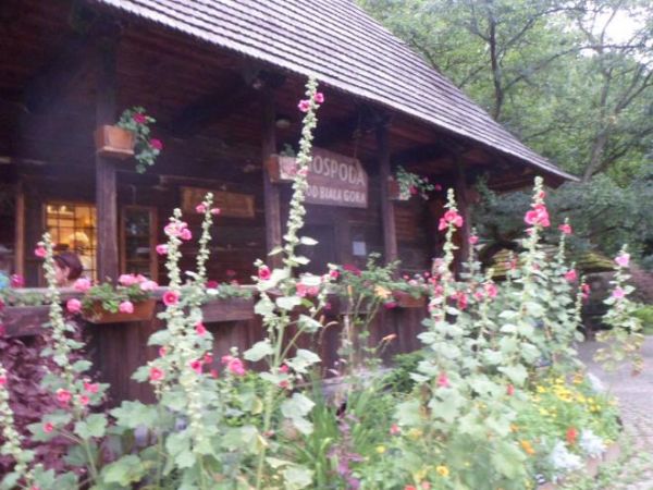 Gospoda - przed wejściem do skansenu, zachwycają też wysokie malwy - czyli prawoślazy ogrodowe.