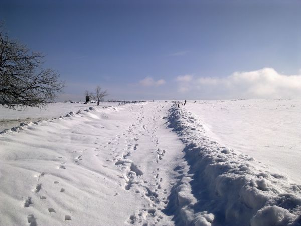 Różanka - żółtym szlakiem na Bochniak (713 m n.p.m.)