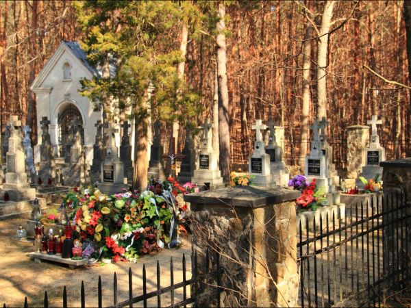 Bazylika Zwiastowania NMP w Leżajsku – wzniesiona w miejscu, gdzie według tradycji ukazała się w 1590 roku Tomaszowi Michałce Matka Boska. Sprawują nad nią opie