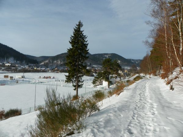 zdjecie Jedlina-Zdrój