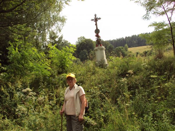 krzyż przydrożny - żeliwny, bogata ornamentyka, osadzony w kamiennym, rzeźbionym postumencie - przy wioskowej, głównej drodze - wsi, której nie ma ale wiele czy