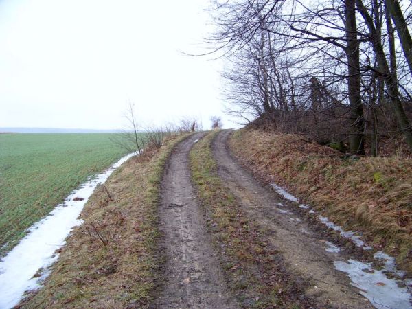 Zdjęcia Bielawa Górna