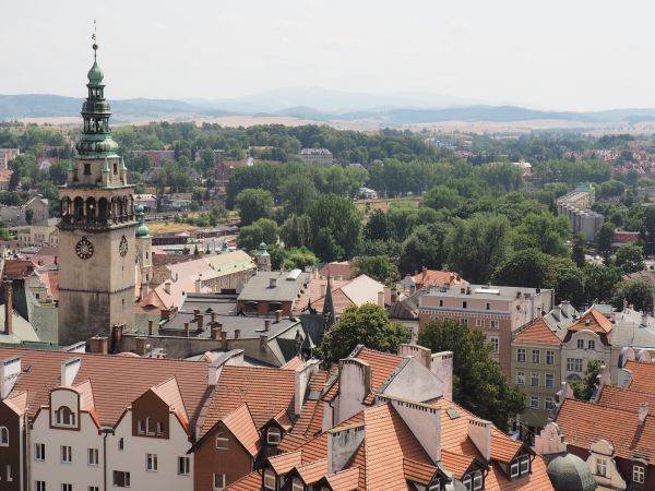 piękna panorama miasta, wznosi się wieża ratusza.