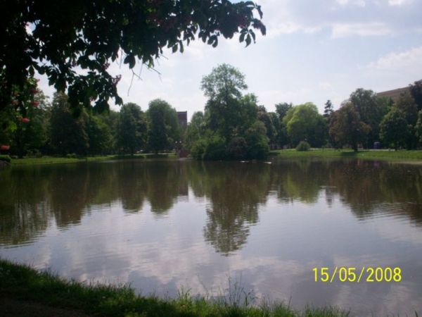 Wyspa na wodzie w centrum miasta.