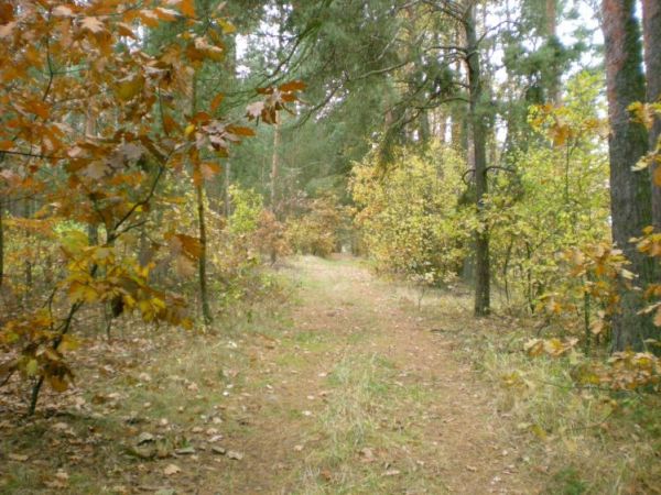 zdjecie Ulaski Stamirowskie