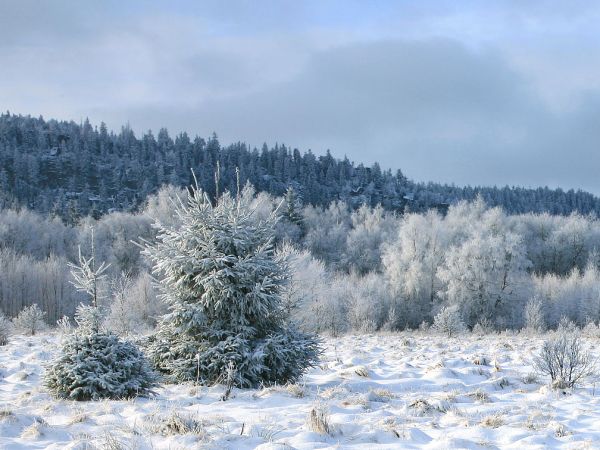 Zima w Pasterce w Górach Stołowych. Malutka, malownicza wioska u samego podnóża Szczelińca Wielkiego jest unikalną już oazą ciszy i spokoju zadziwiając przy tym