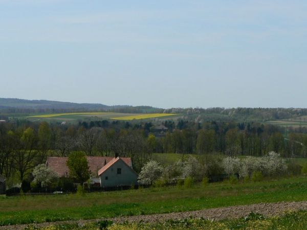 zdjecie Krzewie Wielkie