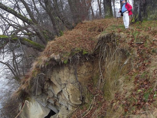 wysoki, stromy ale i pełen uroku - brzeg Sanu, należy być bardzo ostrożnym,  w szczególności z dziećmi ! - nie ma zabezpieczeń ! drut kolczasty leży prawie niew