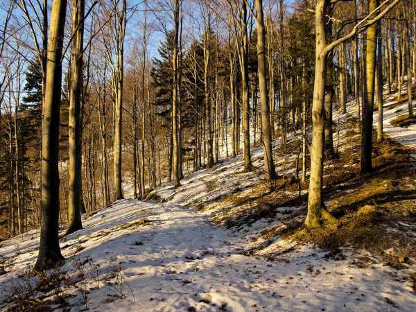 Na niebieskim szlaku-Rytro