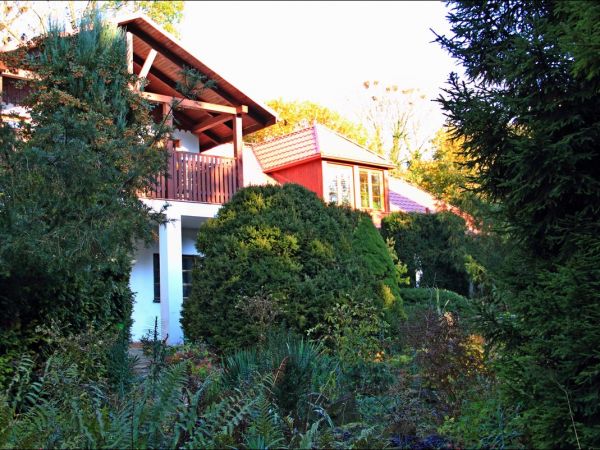 Arboretum w Bolestraszycach - jesienią.