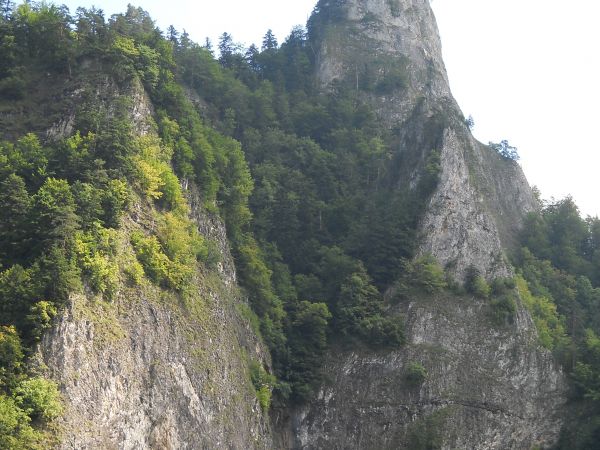 Sokolica,widok ze spływu Dunajcem.