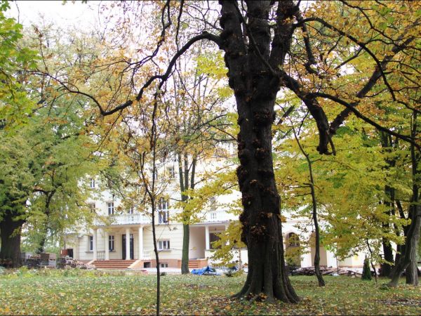 Zespół pałacowo - parkowy w Ożańsku.